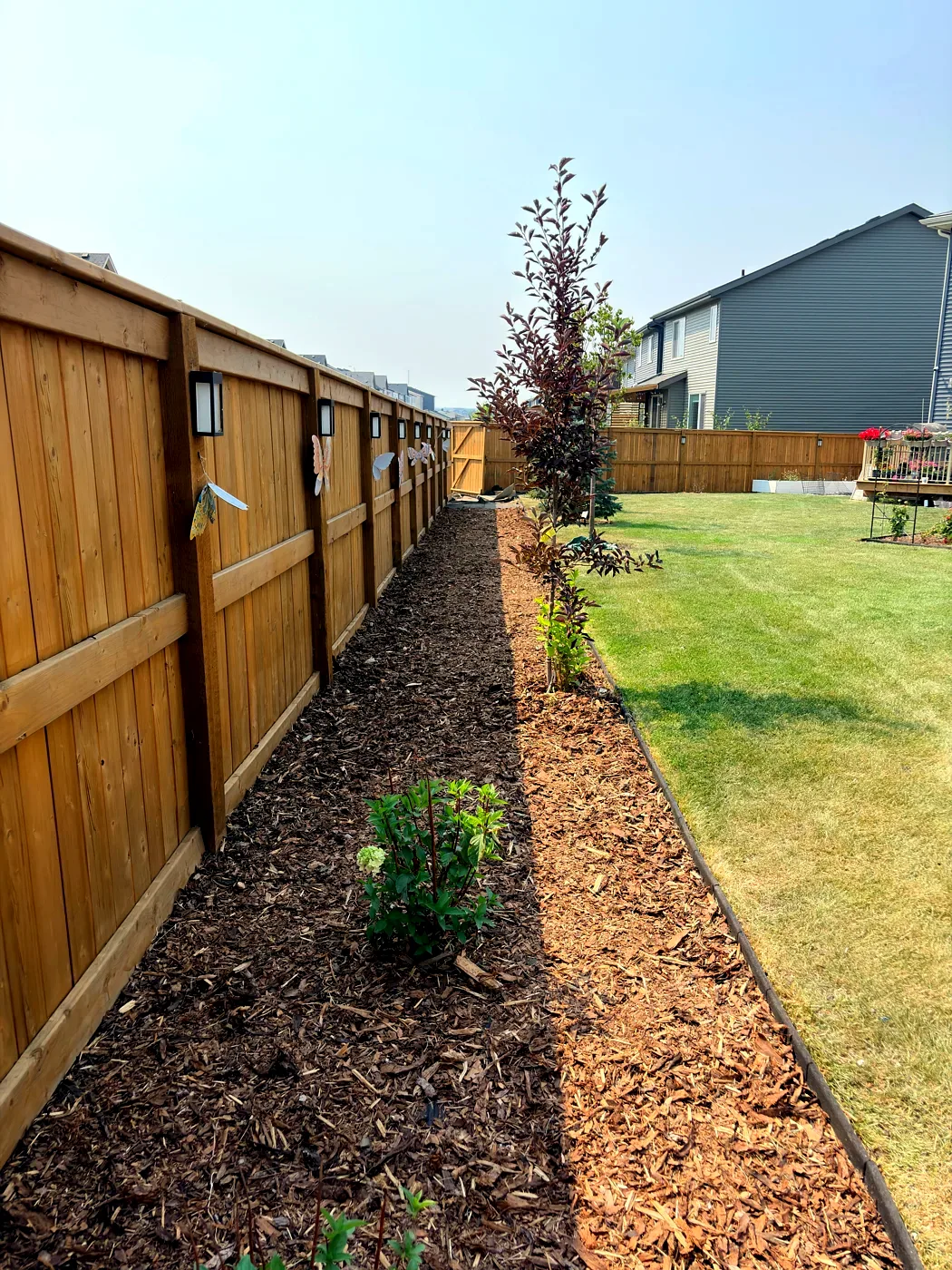 Completed fence-line garden bed with fresh mulch and new plantings