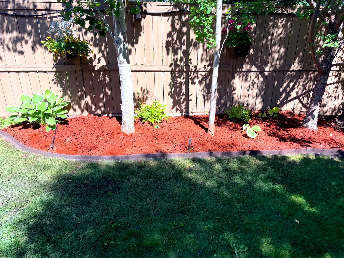 Fresh red mulch with clean edging installed in a Calgary garden bed
