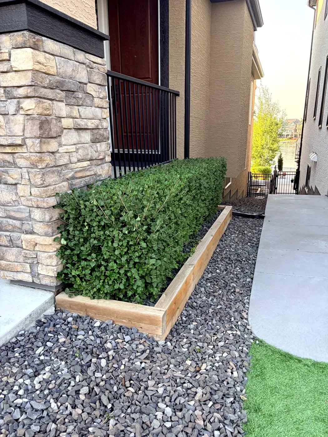 Same hedge trimmed square with crisp lines by Edge Property Services