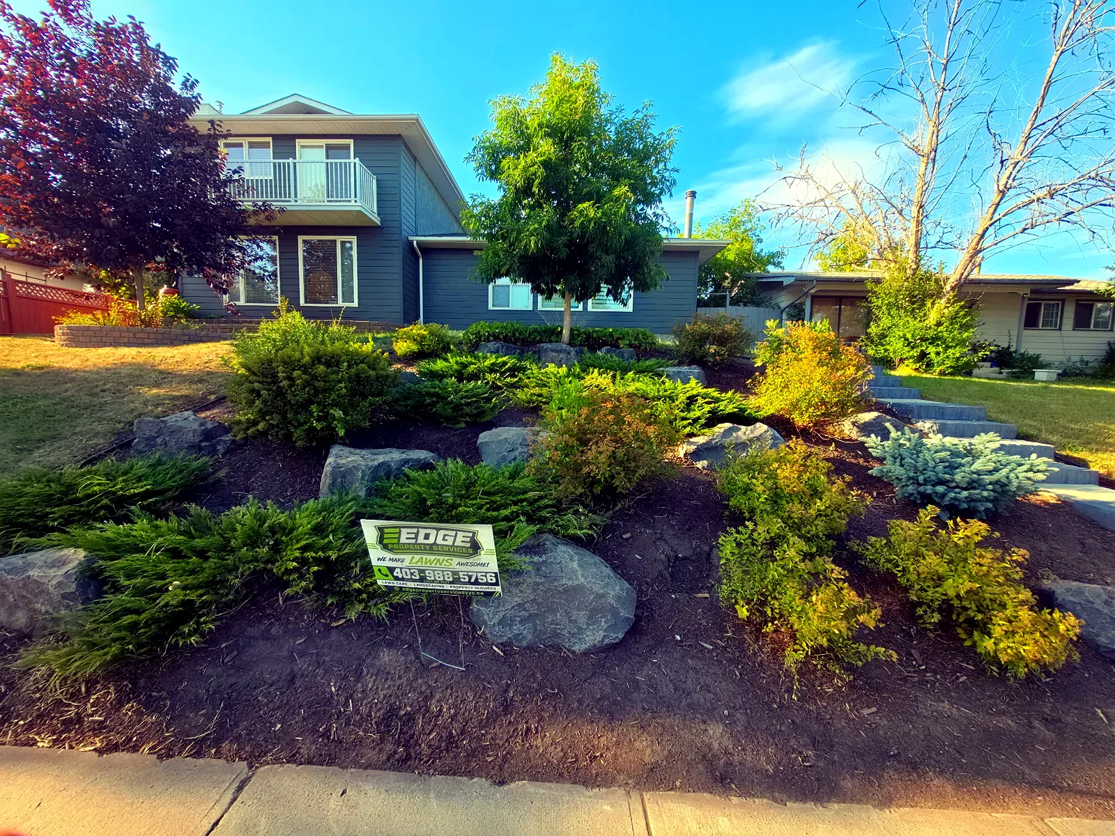 Same hillside fully weeded and restored by Edge Property Services