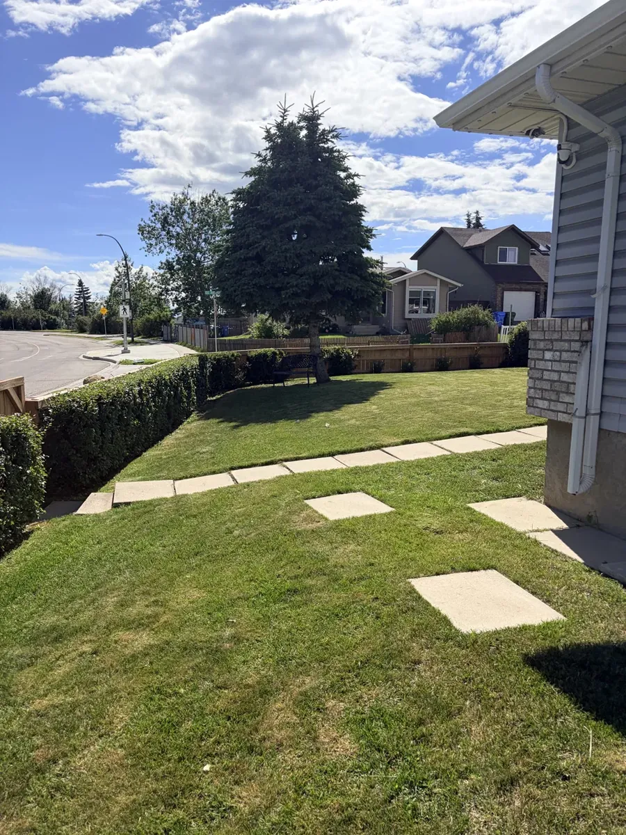 Same Calgary front yard after hedge tidying and fresh mow by Edge Property Services