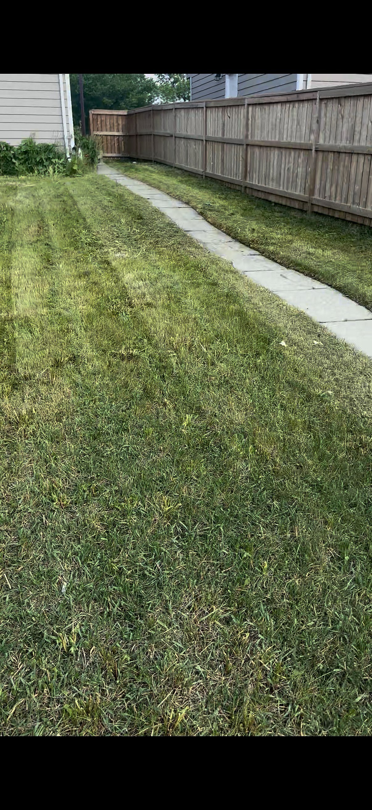 Clean mowed backyard after service Calgary