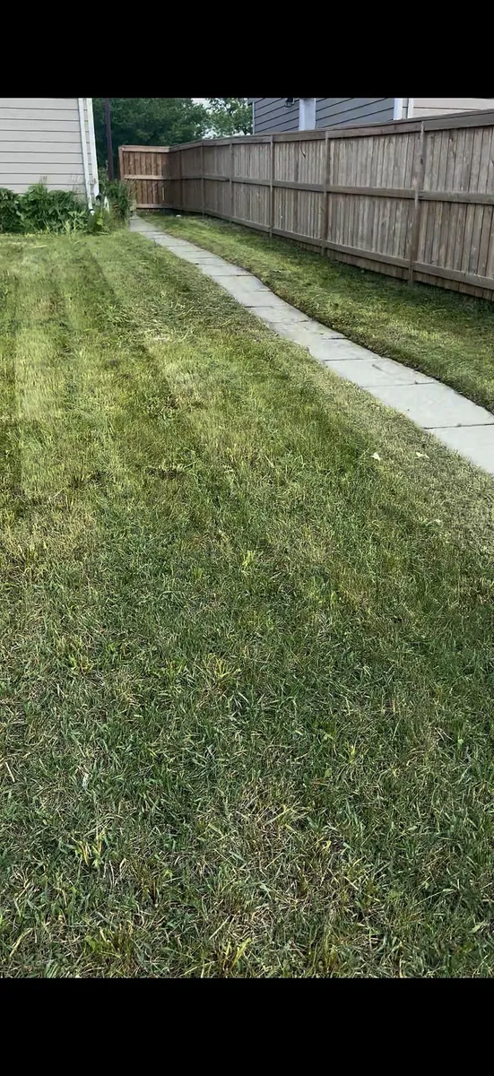 Clean mowed backyard after Edge Property Services