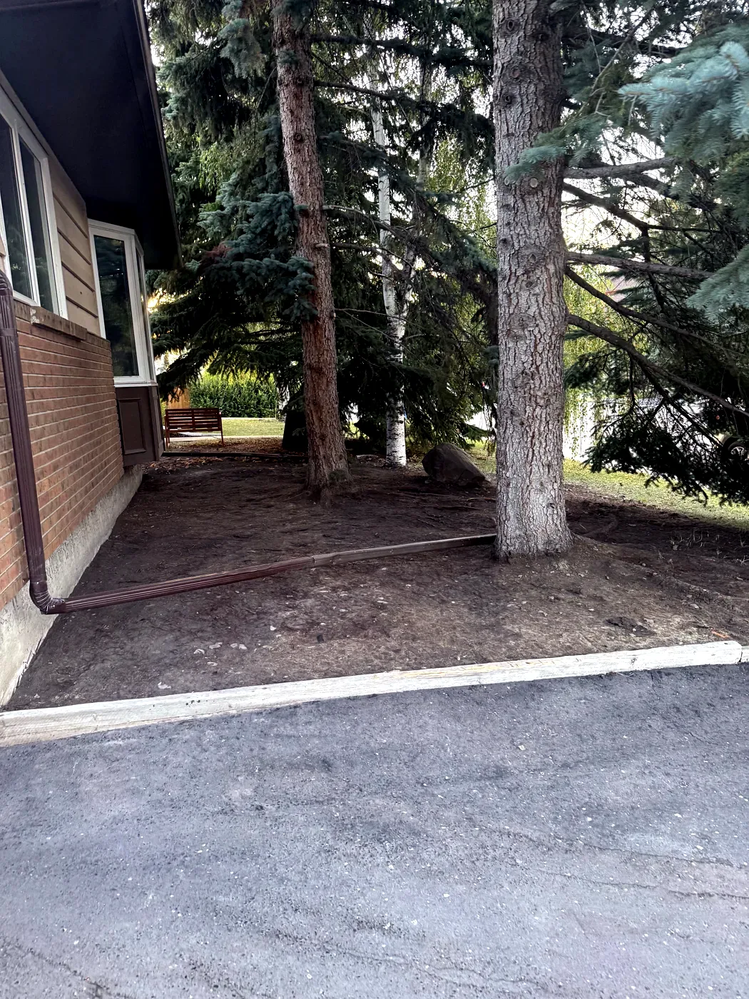 Same yard raked, cleared and hauled away by Edge Property Services