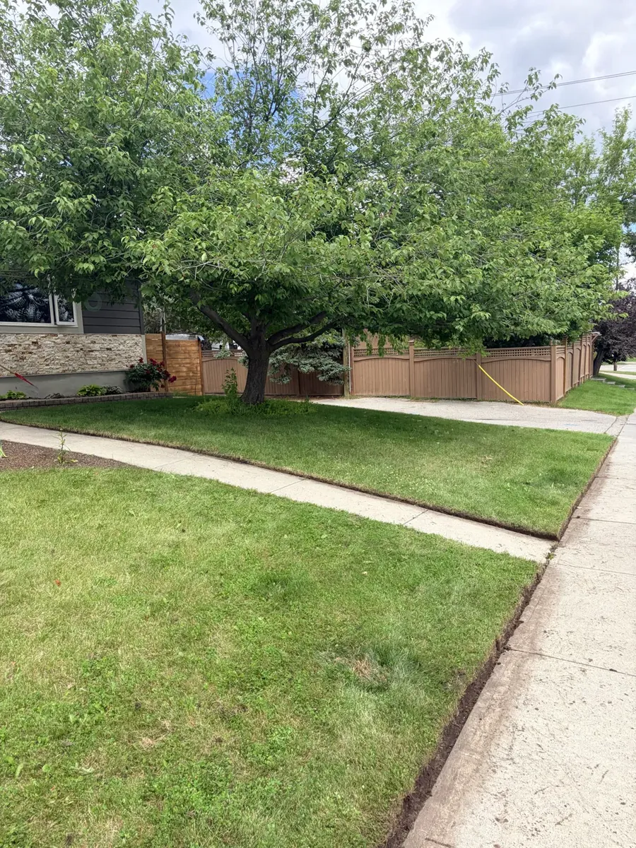 Same Calgary tree lifted and yard edged clean by Edge Property Services