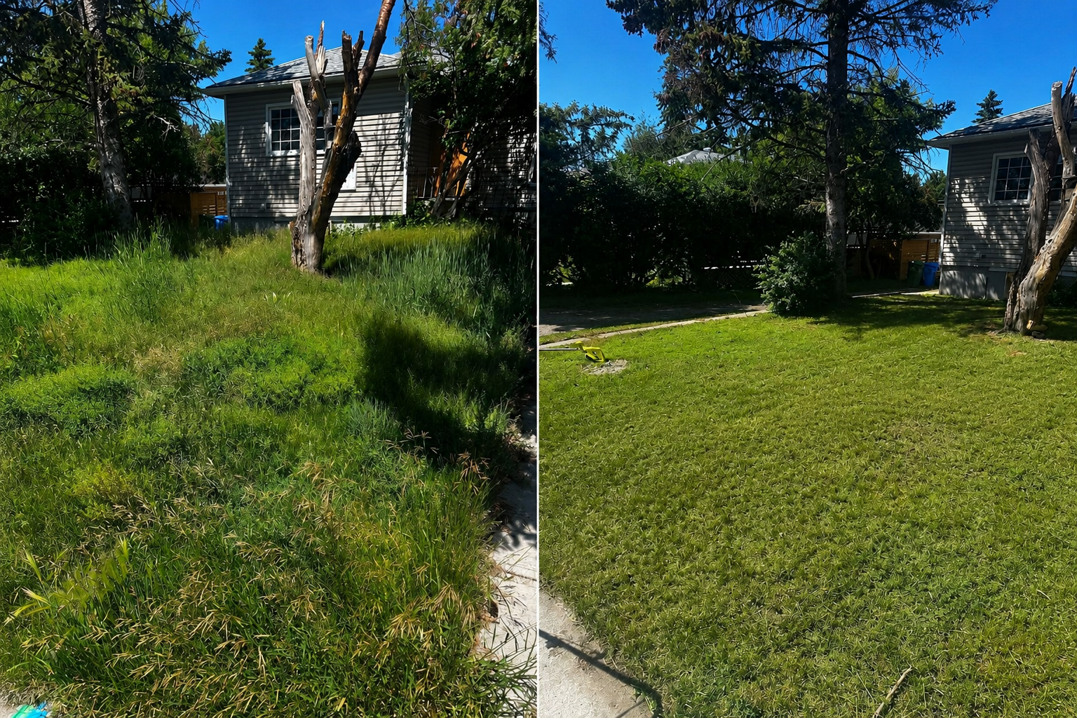 Before and after backyard transformation SE Calgary