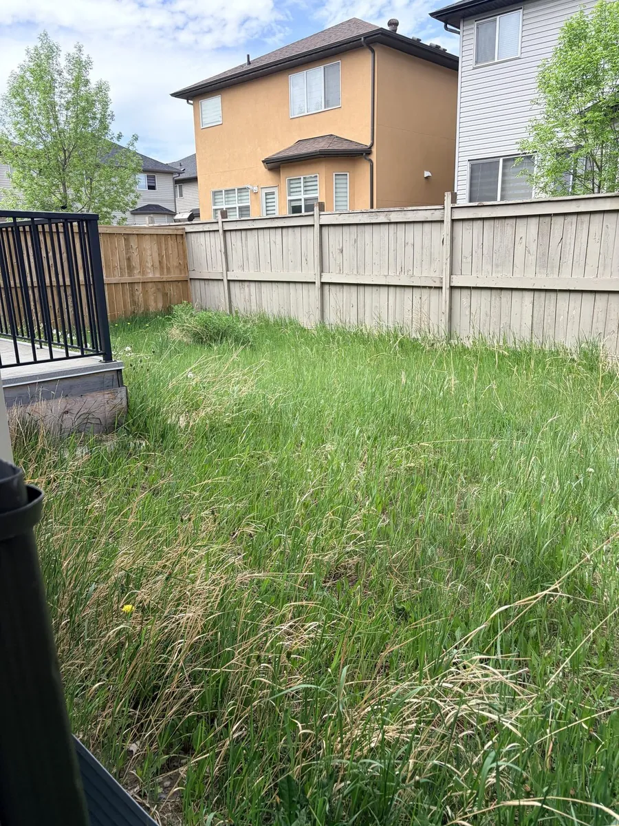 Overgrown backyard before service — Calgary