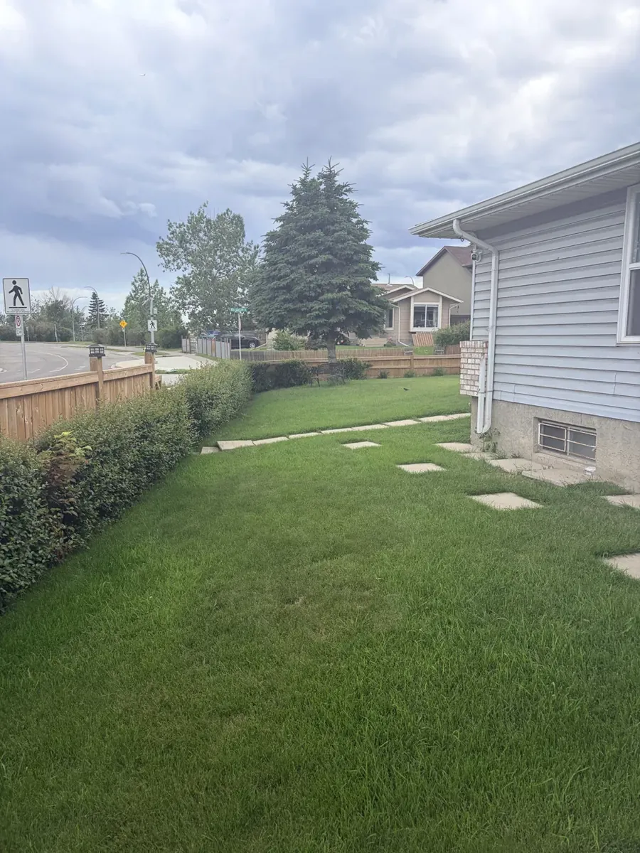 Calgary front yard with hedge before trimming and lawn service