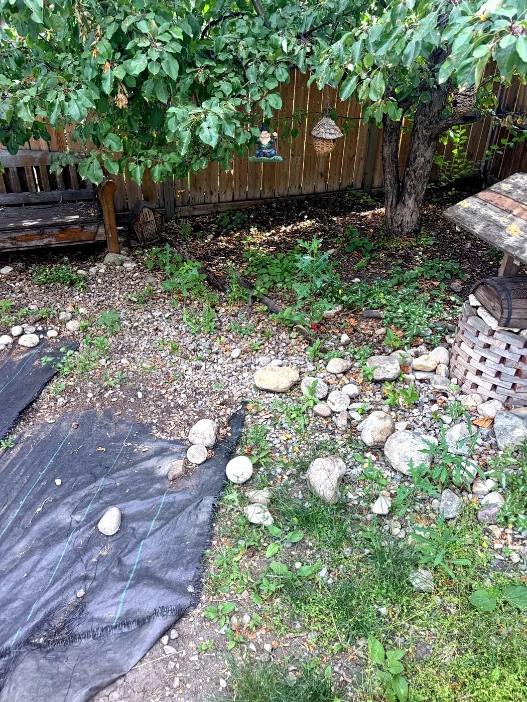 Neglected corner with weeds growing through rock and exposed landscape fabric — before
