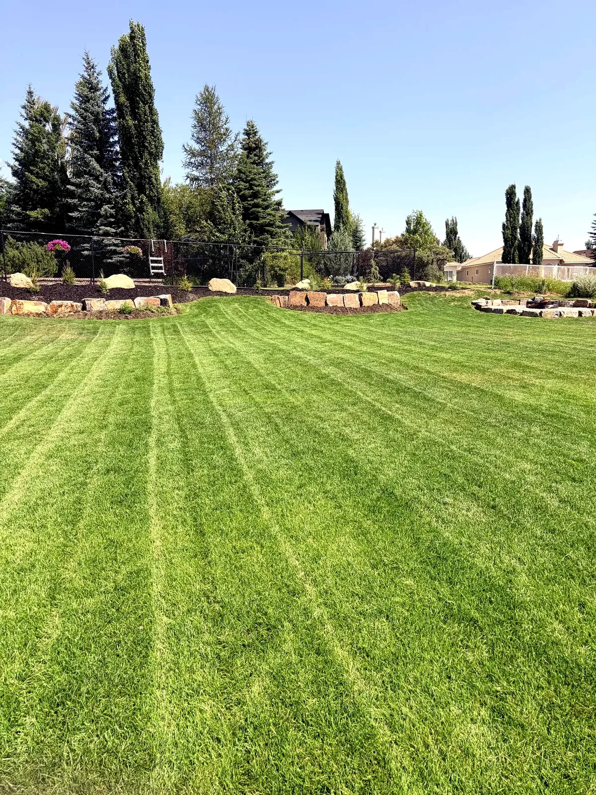 Striped estate lawn with boulder-edged landscape beds after weekly mowing — Calgary