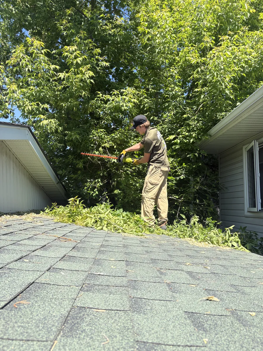 Hedge trimming in progress on an overgrown Calgary property