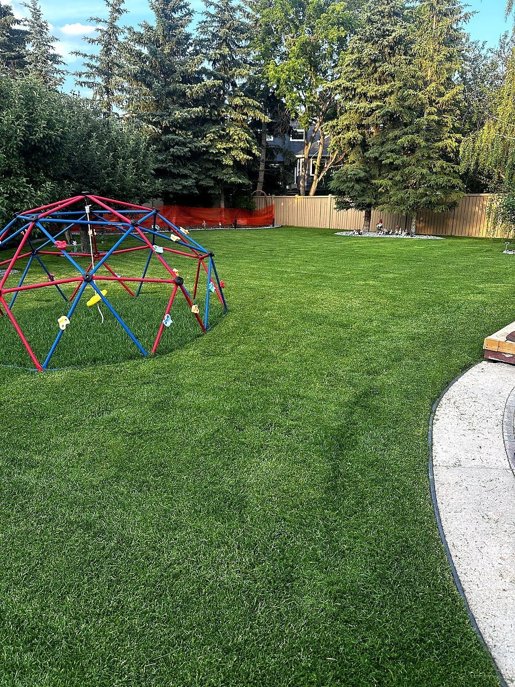 Clean backyard lawn SE Calgary