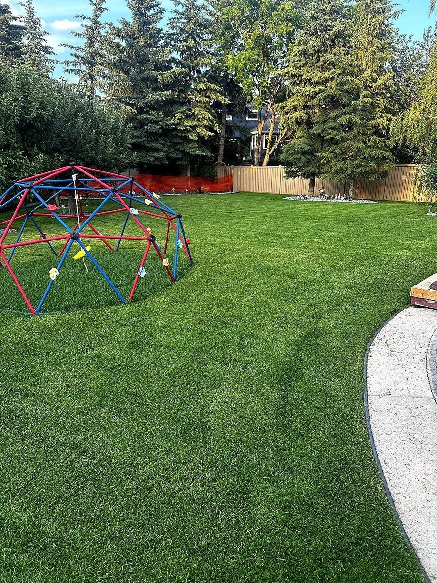 Clean backyard lawn Calgary