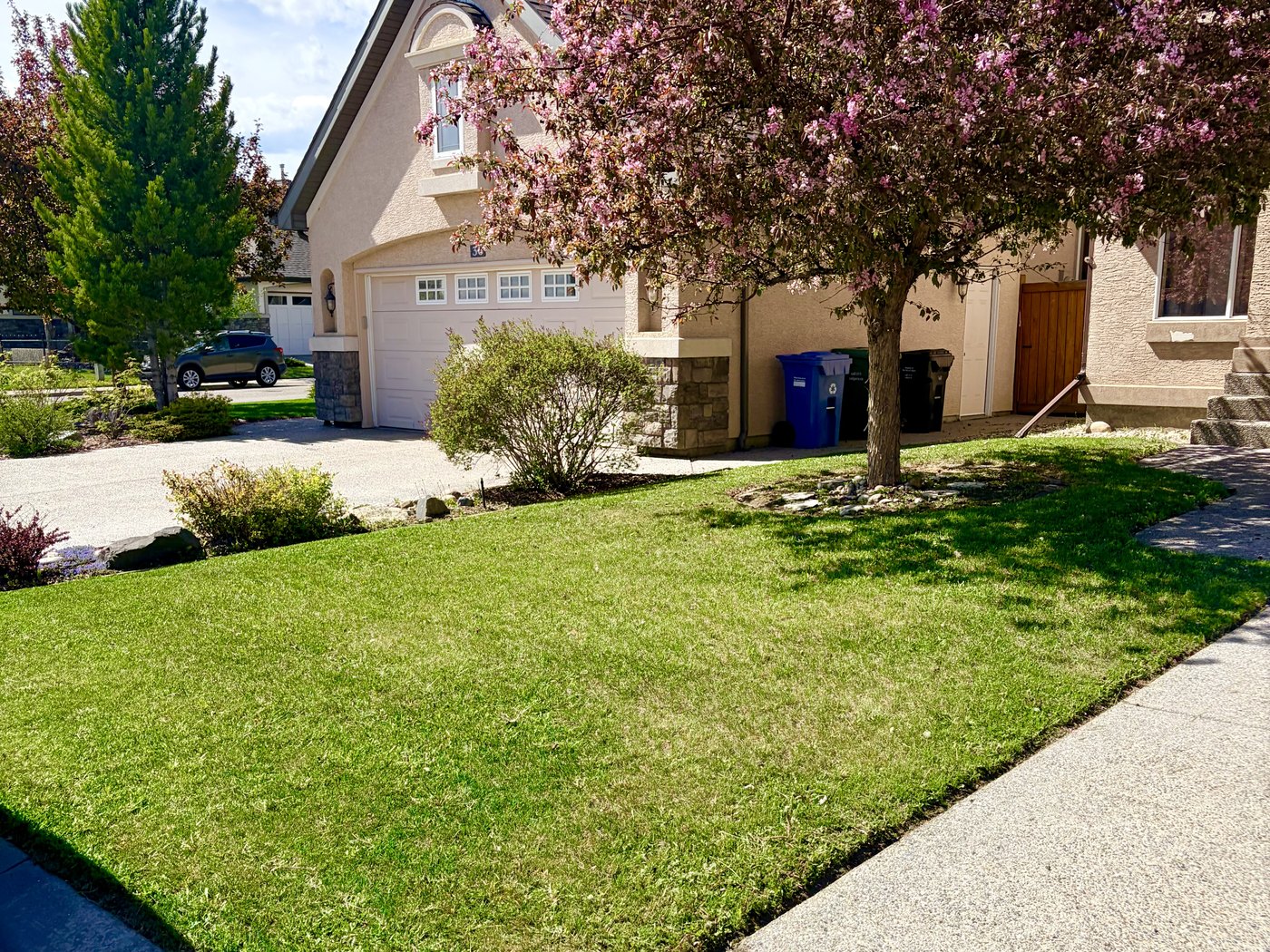 Lush manicured lawn after Edge Property Services maintenance — Calgary