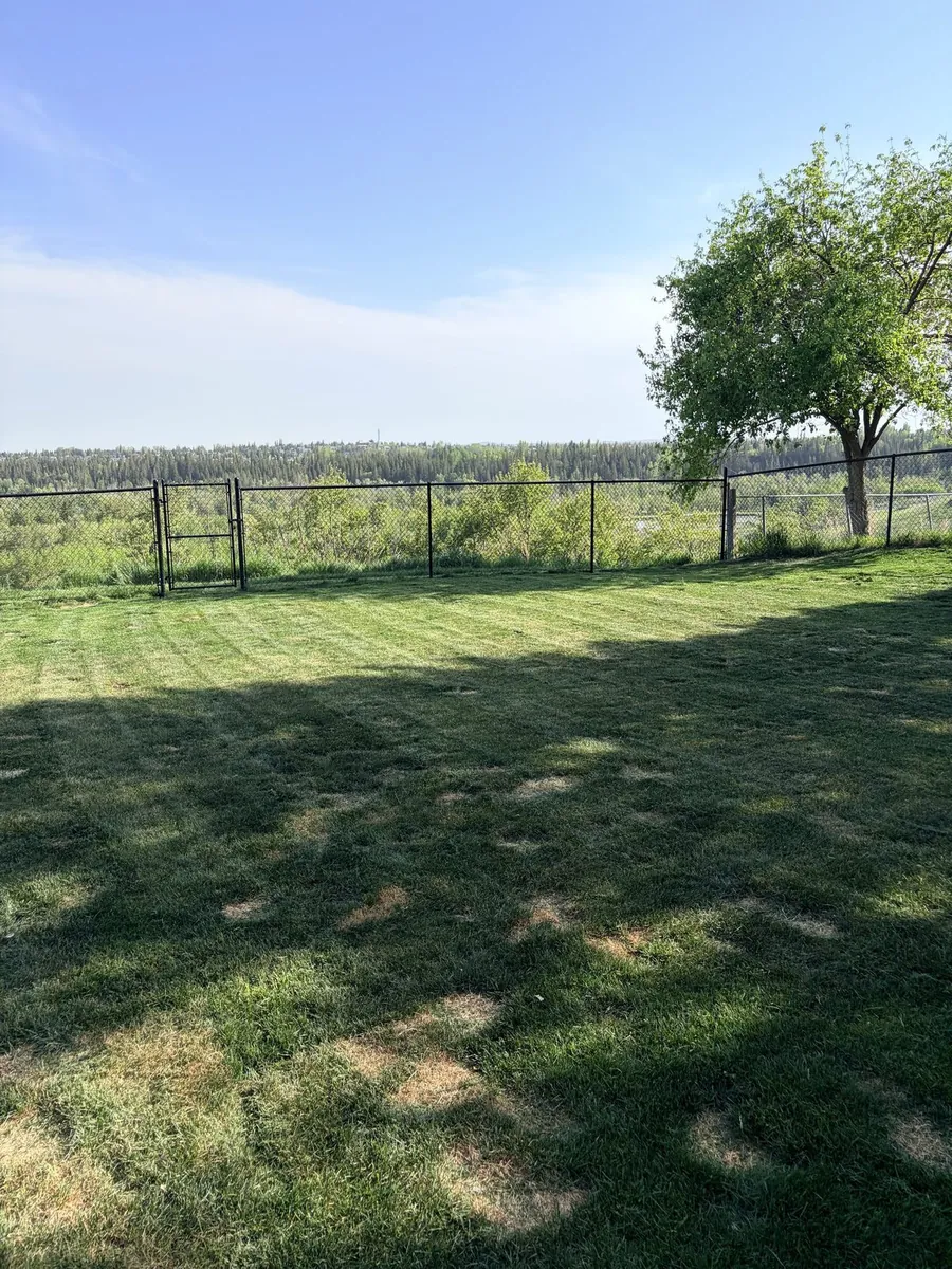 Lawn with crisp mow lines — Calgary