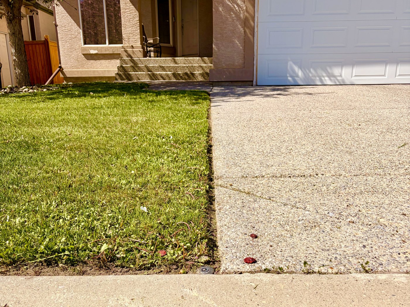 Lawn mowing and edging Calgary — Edge Property Services