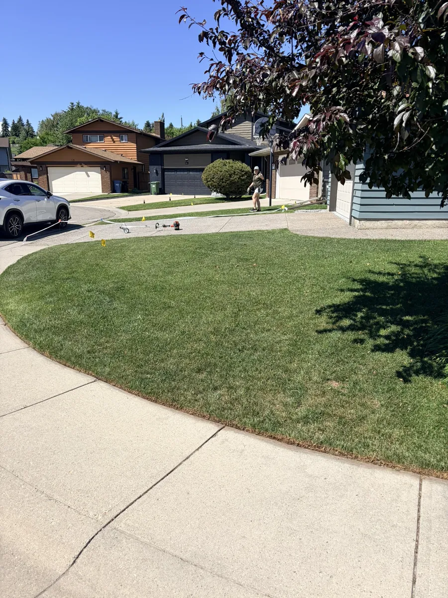 Clean curved lawn edge along a front-yard sidewalk in Calgary