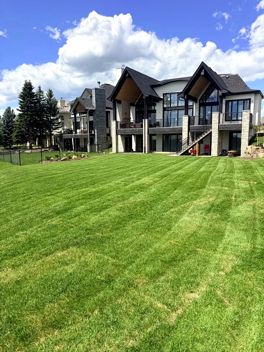 Large estate lawn freshly mowed with crisp stripes behind a modern Calgary home