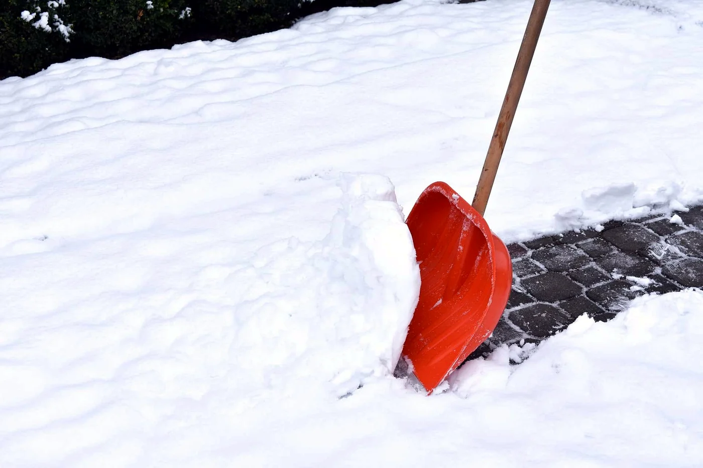 Snow shovel clearing a snowy walkway down to the pavers